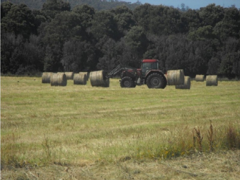 Smithton TAS 7330