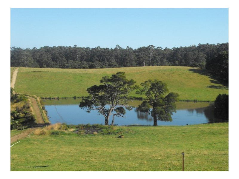 1199 Mawbanna Road, Mawbanna, Smithton TAS 7330