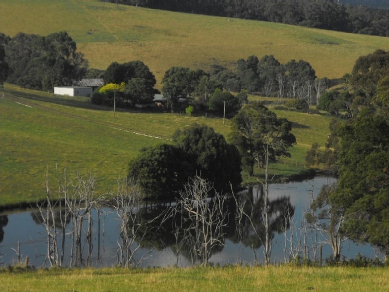 1199 Mawbanna Road, Mawbanna, Smithton TAS 7330