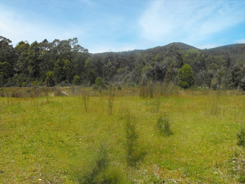 . Newhaven Road, Montumana, Smithton TAS 7330