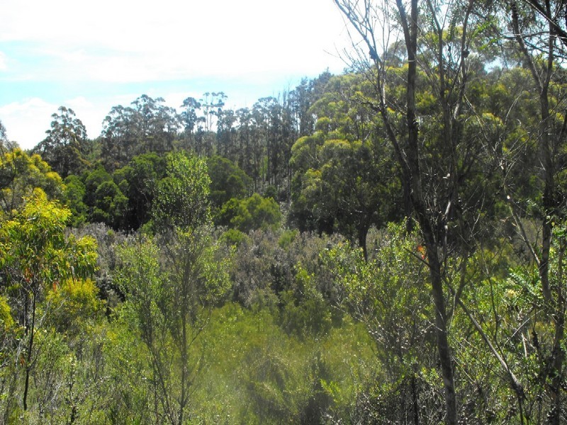 . Newhaven Road, Montumana, Smithton TAS 7330