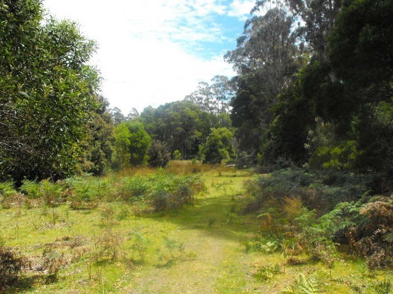 . Newhaven Road, Montumana, Smithton TAS 7330