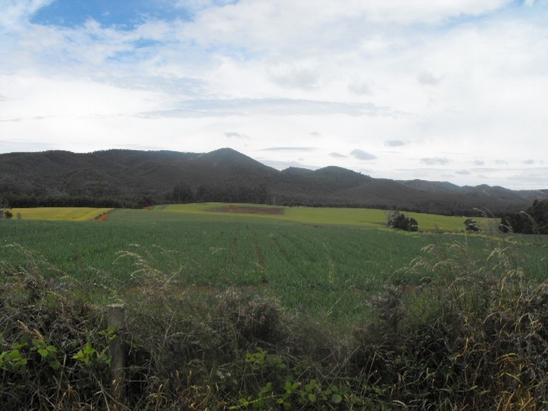 . Newhaven Road, Montumana, Smithton TAS 7330