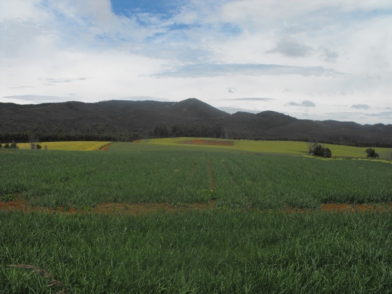 . Newhaven Road, Montumana, Smithton TAS 7330
