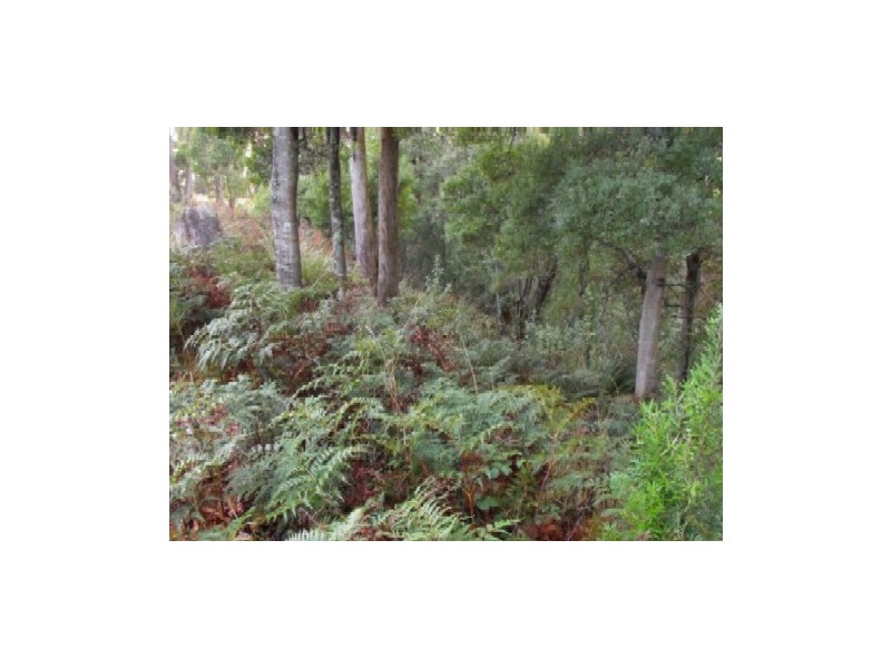 Lot 6 3 Rubida Drive, Scotchtown, Smithton TAS 7330