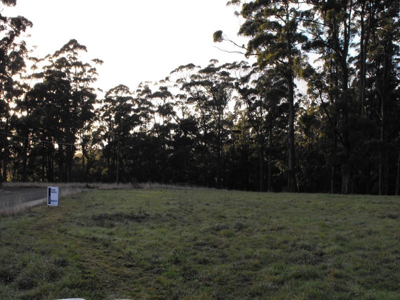 Lot 6 3 Rubida Drive, Scotchtown, Smithton TAS 7330