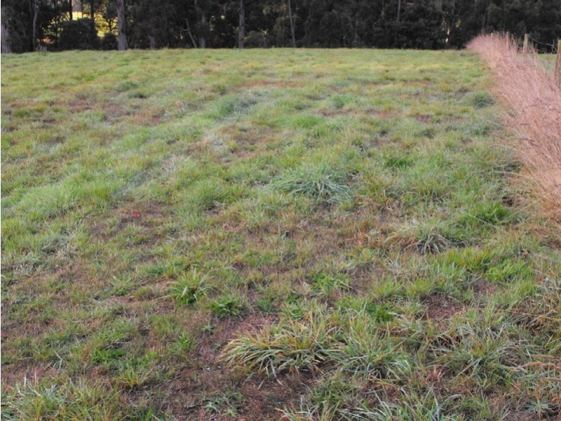 Lot 6 3 Rubida Drive, Scotchtown, Smithton TAS 7330