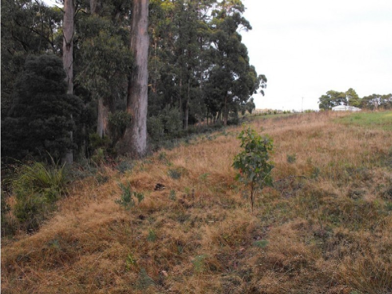 Lot 6 3 Rubida Drive, Scotchtown, Smithton TAS 7330