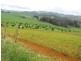 Smithton TAS 7330