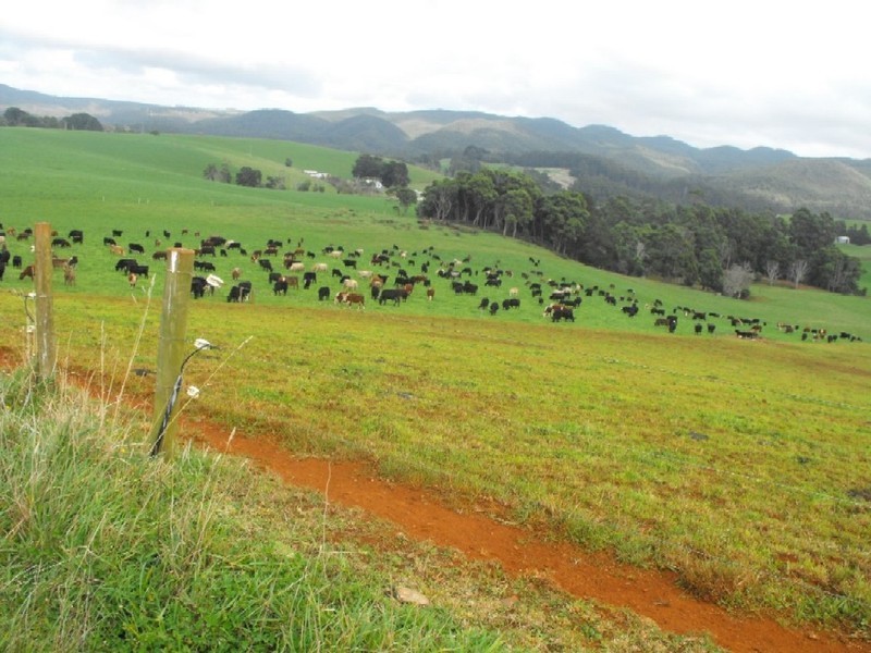 Smithton TAS 7330