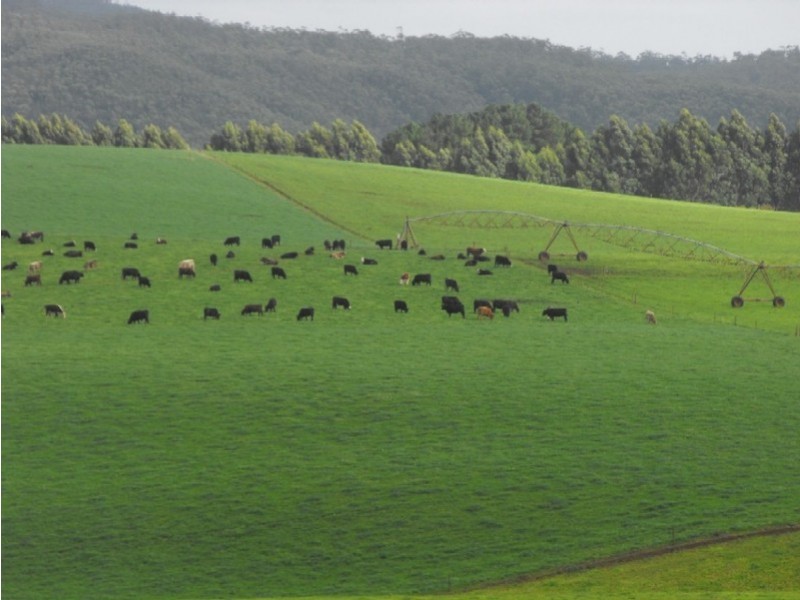 Smithton TAS 7330