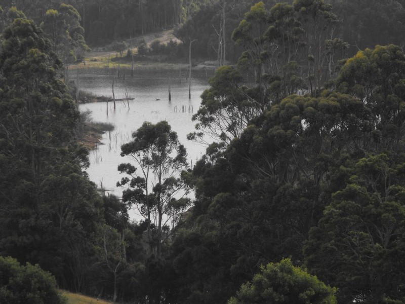Smithton TAS 7330