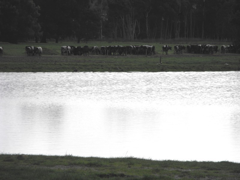 Smithton TAS 7330
