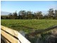 Scotchtown Road, Smithton TAS 7330