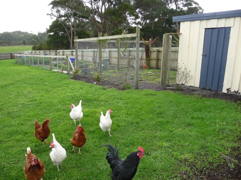 28 Nelson Street, Smithton TAS 7330