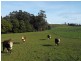 Bourkes Road Irishtown, Smithton TAS 7330