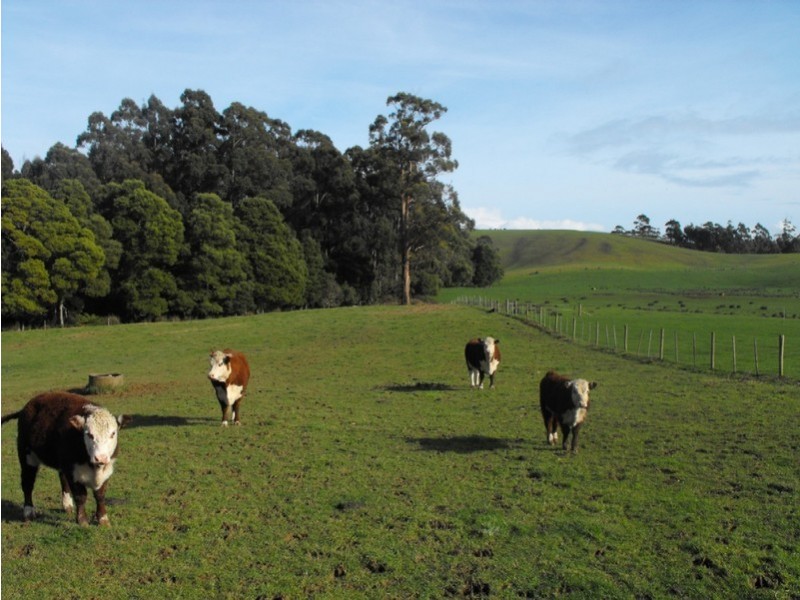 Bourkes Road Irishtown, Smithton TAS 7330