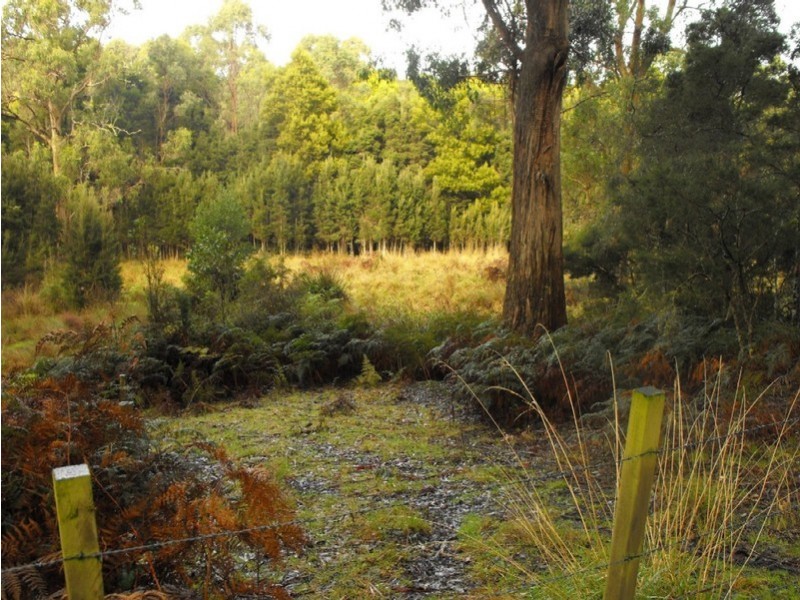 Bourkes Road Irishtown, Smithton TAS 7330