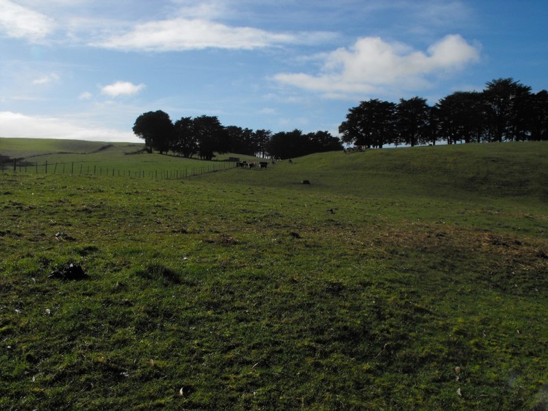 Bourkes Road Irishtown, Smithton TAS 7330