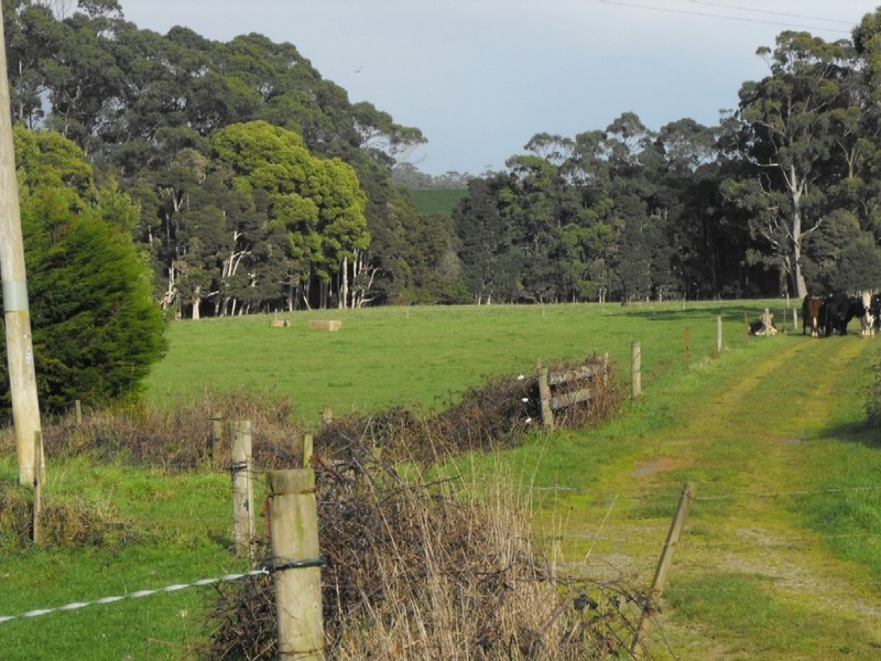 Bourkes Road Irishtown, Smithton TAS 7330