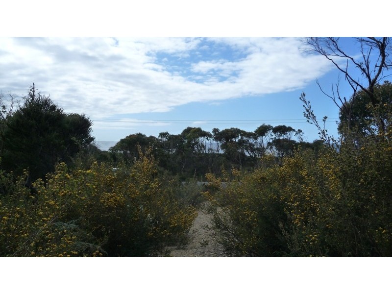 Edgcumbe Beach TAS 7321