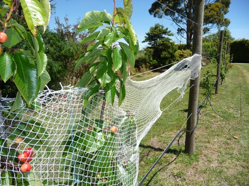 Smithton TAS 7330