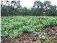 178 Roger River Road, Roger River TAS 7330