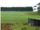 114 Cannells Road, Scopus TAS 7330