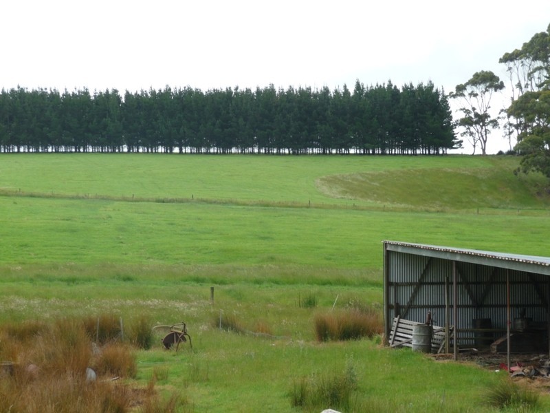 114 Cannells Road, Scopus TAS 7330