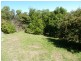Smithton TAS 7330