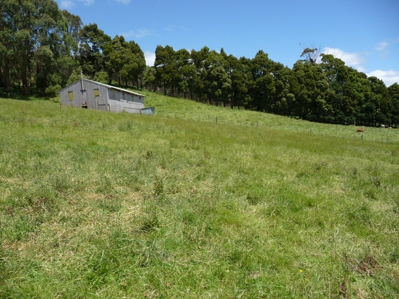 Roger River TAS 7330