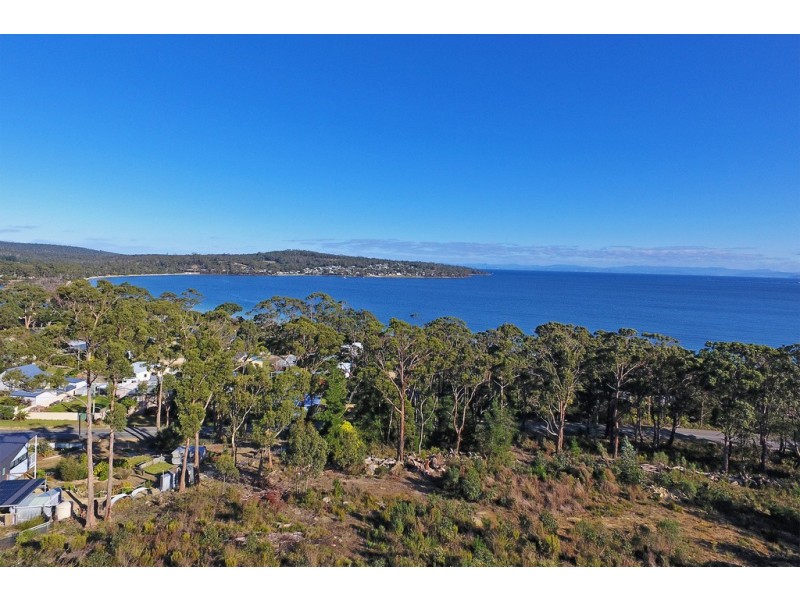 Lot 1 White Beach Road, White Beach TAS 7184