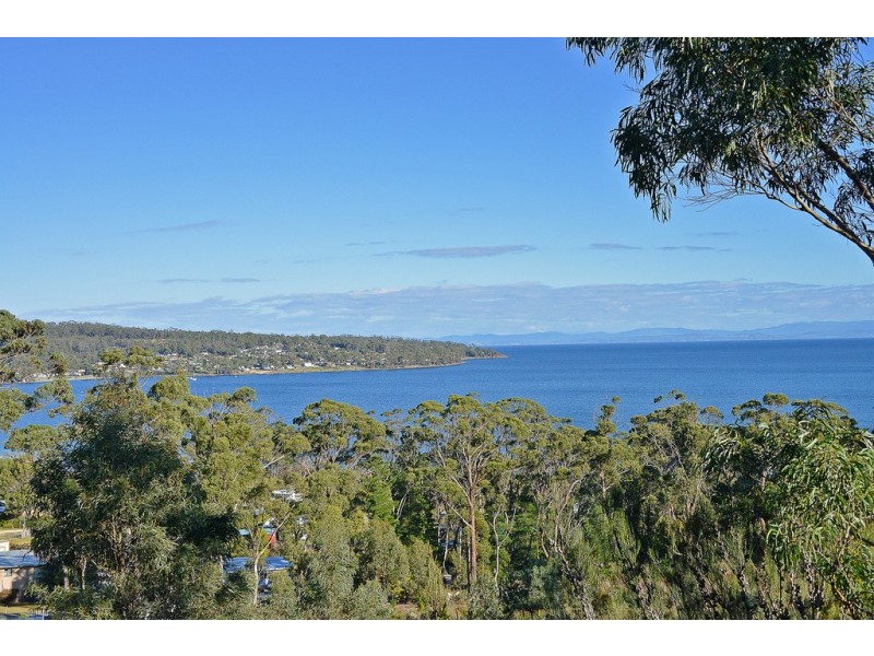 Lot 1 White Beach Road, White Beach TAS 7184