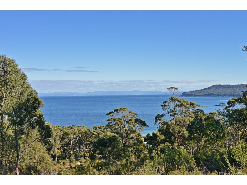 Lot 1 White Beach Road, White Beach TAS 7184