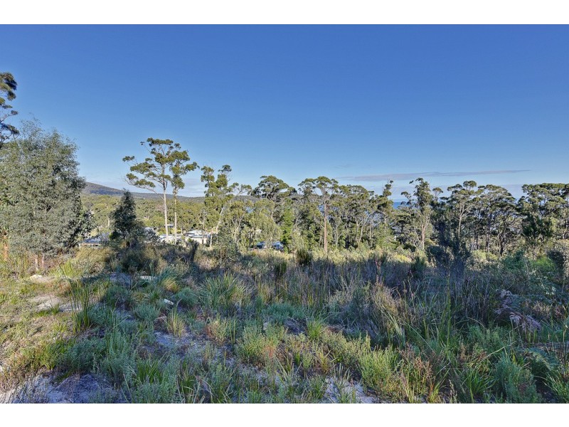Lot 1 White Beach Road, White Beach TAS 7184