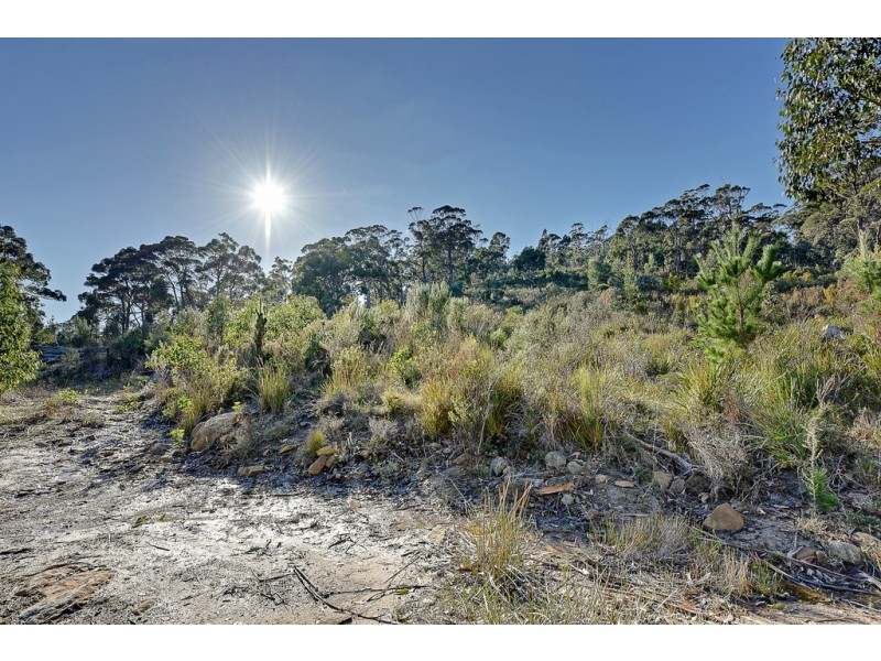 Lot 1 White Beach Road, White Beach TAS 7184
