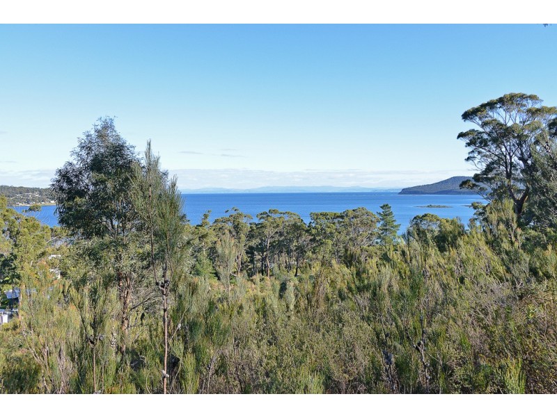 Lot 1 White Beach Road, White Beach TAS 7184