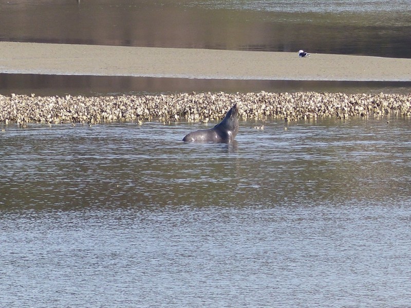 7 Esplanade, Carlton River TAS 7173