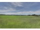 342 Shark Point Road, Penna TAS 7171