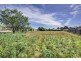 8 Neagarra Street, Dodges Ferry TAS 7173