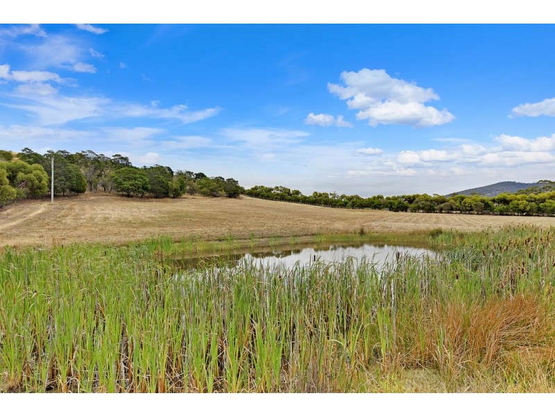 37 Leprena Road, Orielton TAS 7172