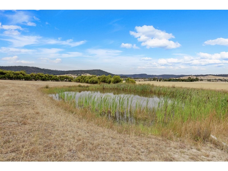 37 Leprena Road, Orielton TAS 7172