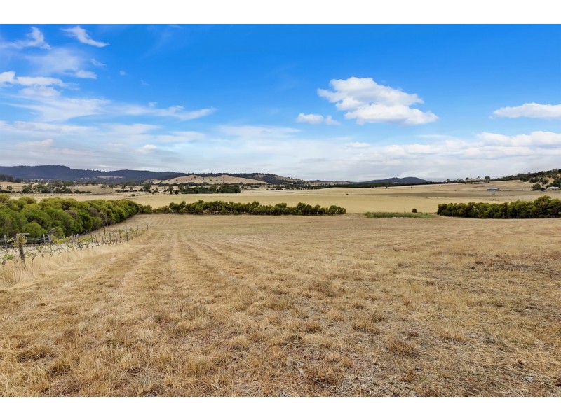 37 Leprena Road, Orielton TAS 7172