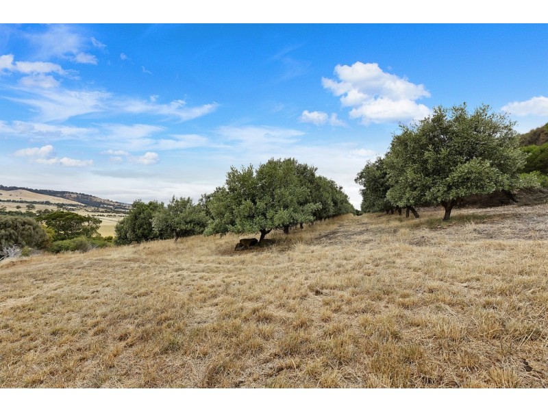 37 Leprena Road, Orielton TAS 7172