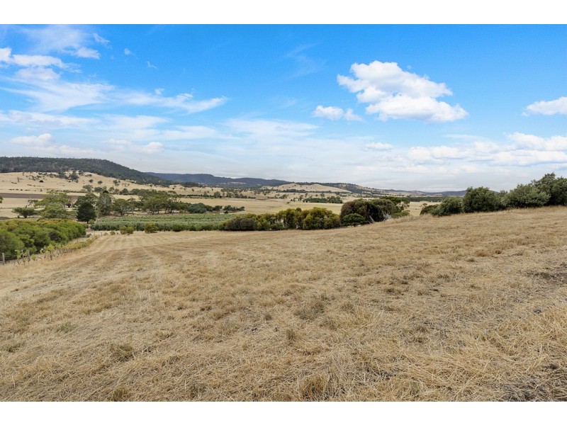 37 Leprena Road, Orielton TAS 7172