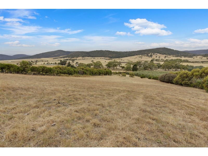 37 Leprena Road, Orielton TAS 7172