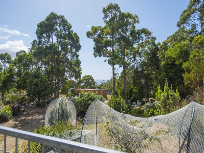 46 Waterfall Bay Road, Eaglehawk Neck TAS 7179