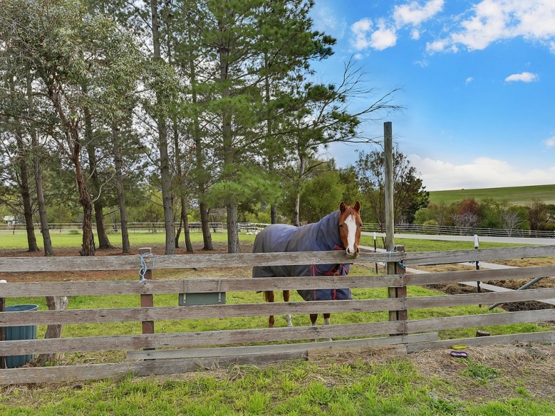 100 Old Forcett Road, Forcett TAS 7173