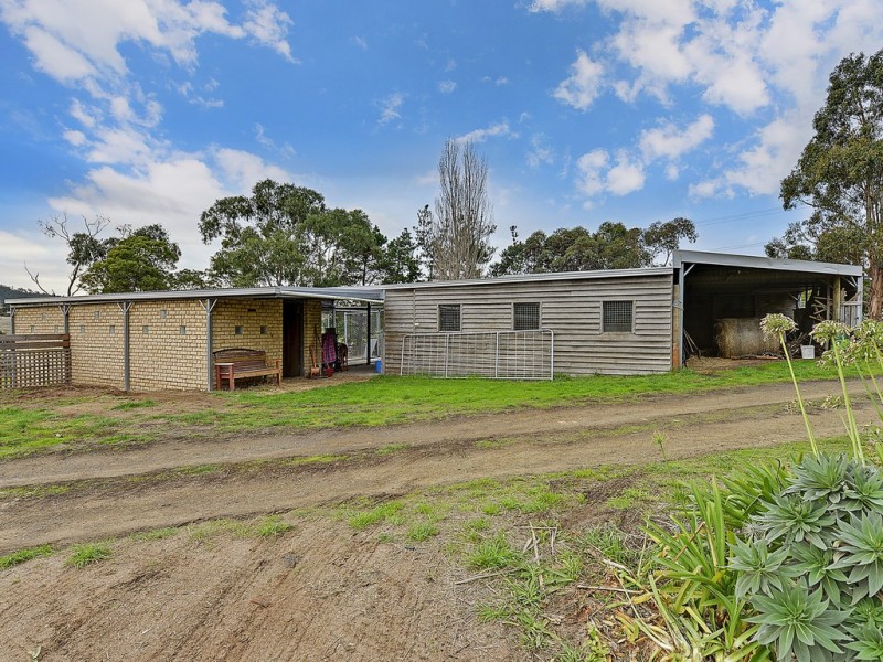 100 Old Forcett Road, Forcett TAS 7173