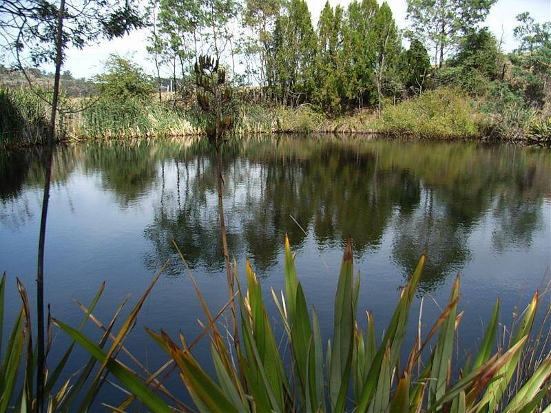 901 Nugent Road, Wattle Hill TAS 7172